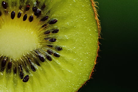 kiwi fruit macro photography