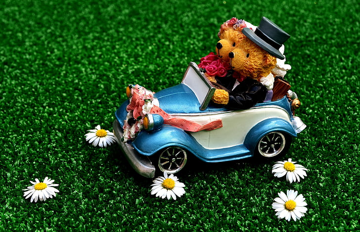 bears riding car toy