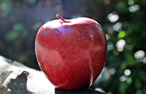 red apple in tilt shift lens photo