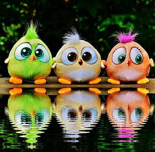 three orange, yellow, and green chick toy collection