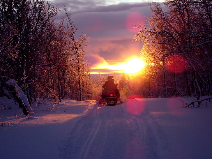 silhouette of person riding snowmobile besides trees during sunset