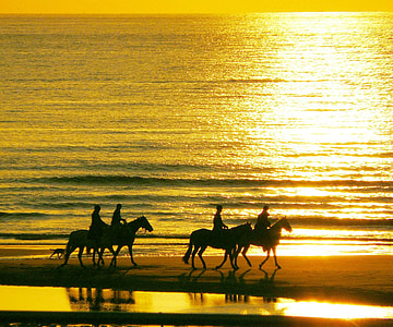 silhouette photo of four person riding horse near body of water