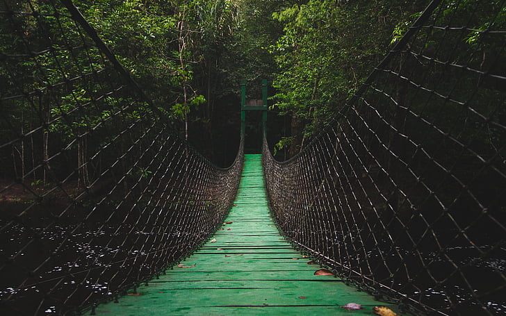 green wooden hanging bridge near green trees