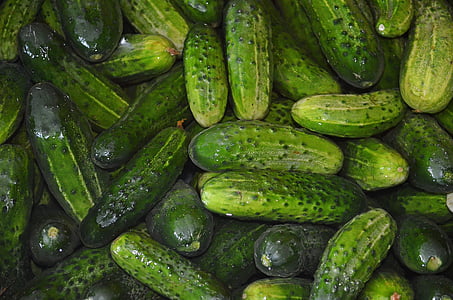green cucumber lot