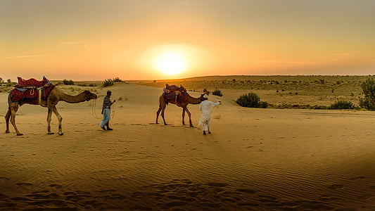 Local people conducting one day trip to the Thar Desert