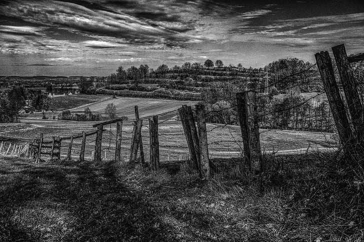 grayscale photo of fence near grass field