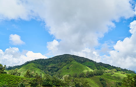photo of green mountain