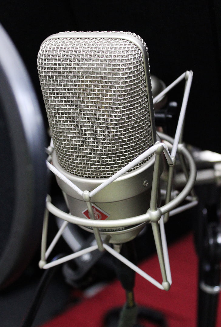 closeup photo of condenser microphone