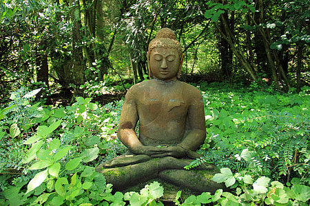 Gautama Buddha statue surrounded by grass and tall trees