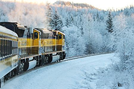 yellow and brown train surrounded by trees covered with snow