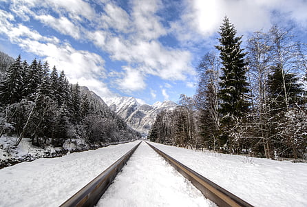 train rail covered in snow between pine trees at daytime