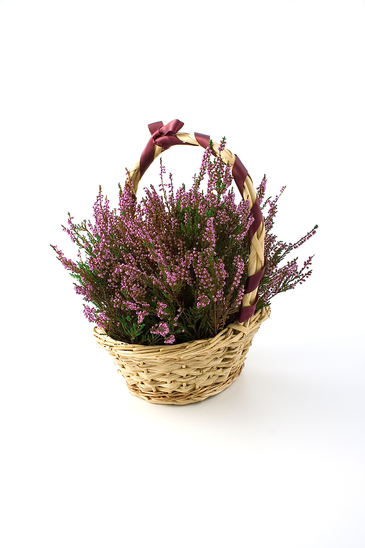 pink flowers arrangement in brown basket