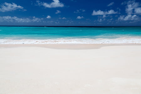 white sand beach and blue water