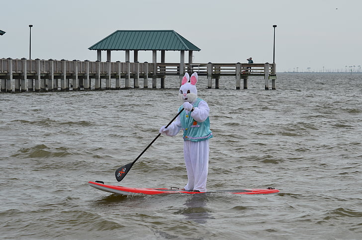 person wearing rabbit costume riding paddle board