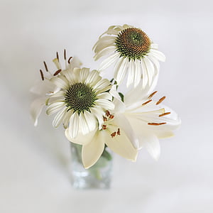 white petal flowers in vase