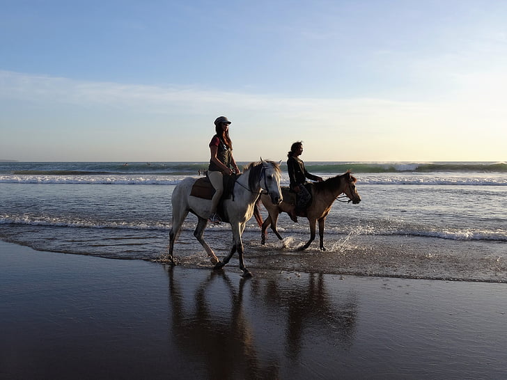 two woman riding horse near seashore during daytime