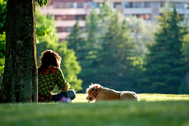 woman sitting under tree with dog