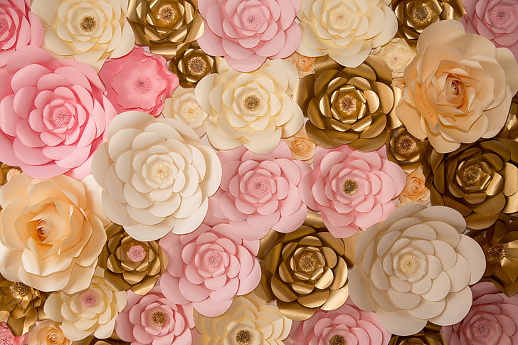 assorted-color flowers wallpaper