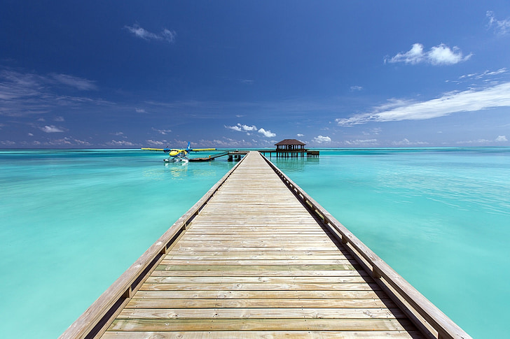 brown wooden dock surrounded by sea