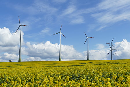 panoramic photography of green field with wind turbines