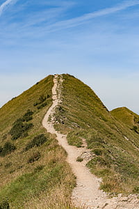 pathway between open field background of mountain