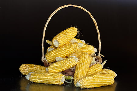 photo of yellow corns