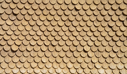 photo of brown fish scale pattern