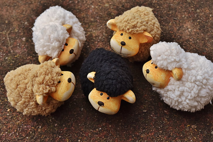 five brown, white, and black sheep plush toys