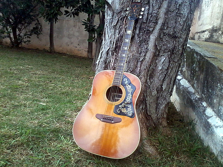 brown guitar on grey tree trunk
