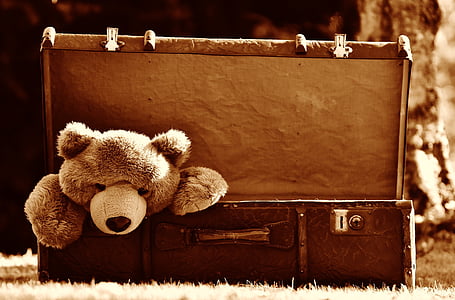 brown bear plush toy inside brown briefcase