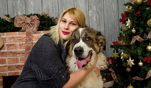 woman hugging large tan and white dog near christmas tree