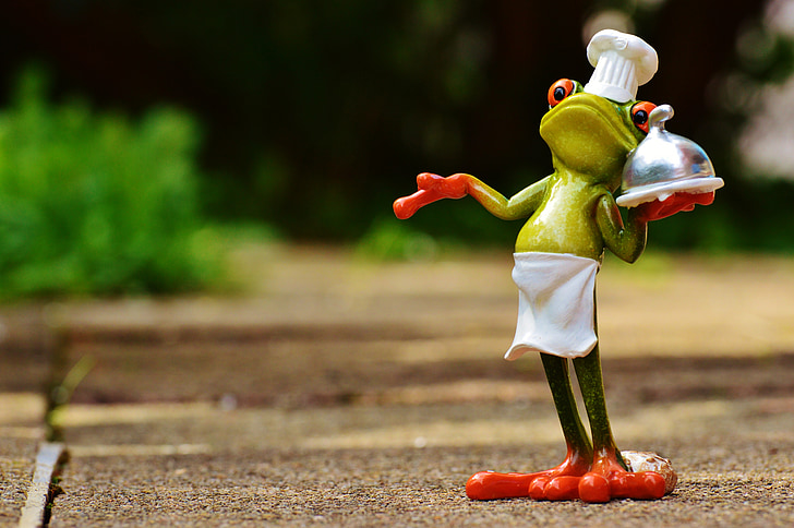 frog chef photography