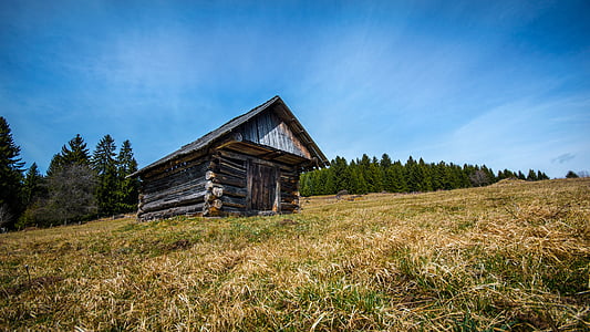 brown and gray wooden shed under clear blue sky