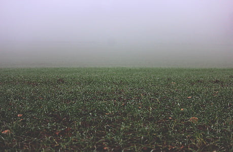 landscape photography of green grass field