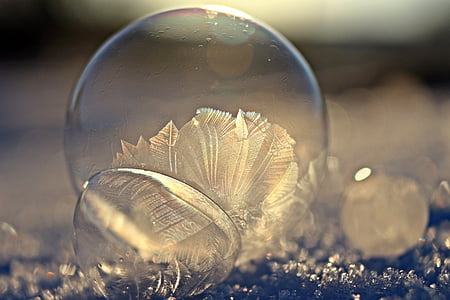 shallow focus photography of bubbles