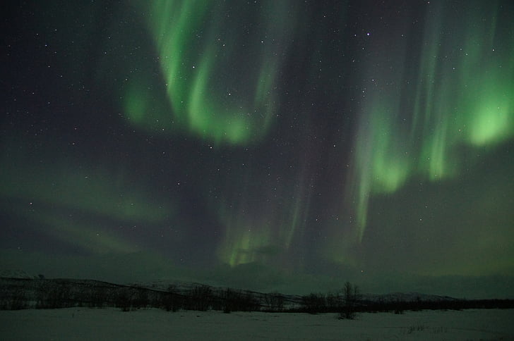 landscape photo of aurora borealis