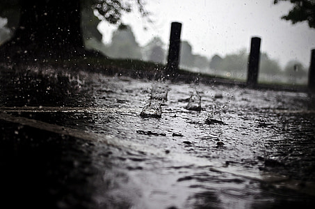 rain, raindrops, seasons, water, macro, element