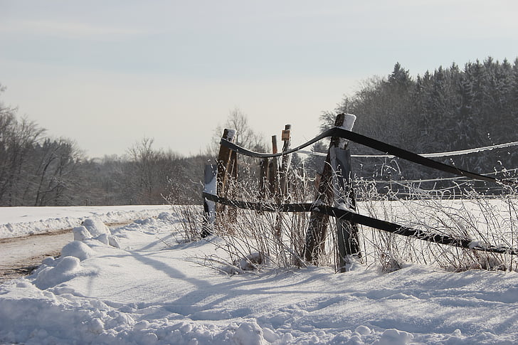 barn fence covered by snow
