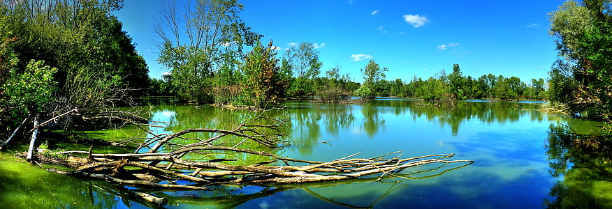 panoramic photography of body of water surrounded with trees during daytime