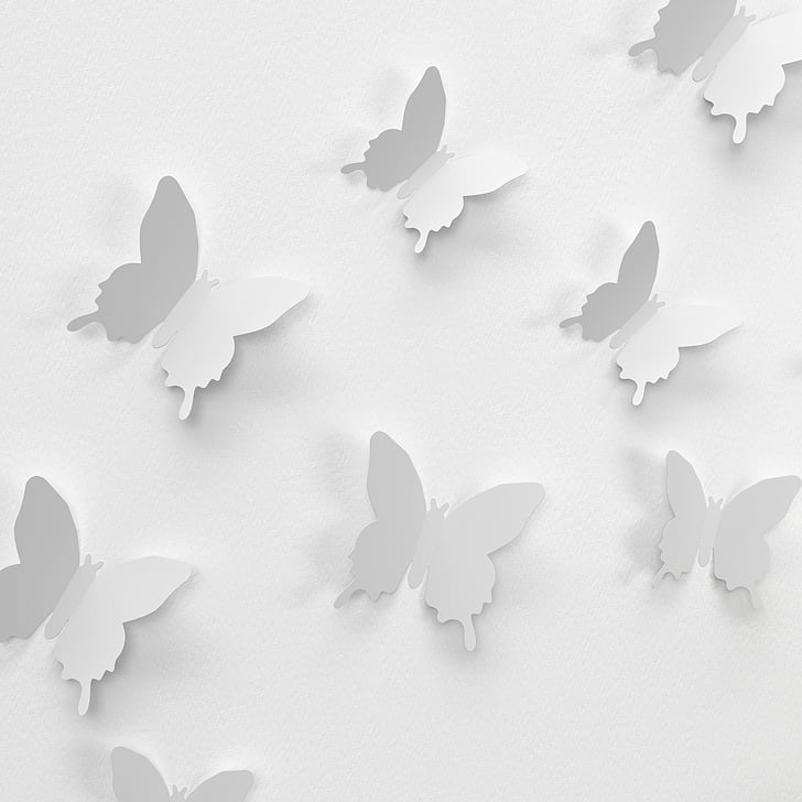 white butterfly papers on white surface
