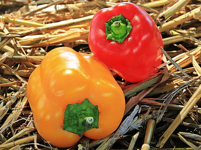 two yellow and red bell peppers