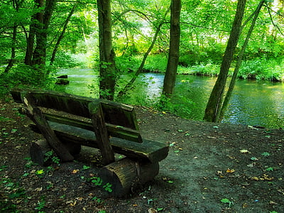 empty wooden bench beside trees and water
