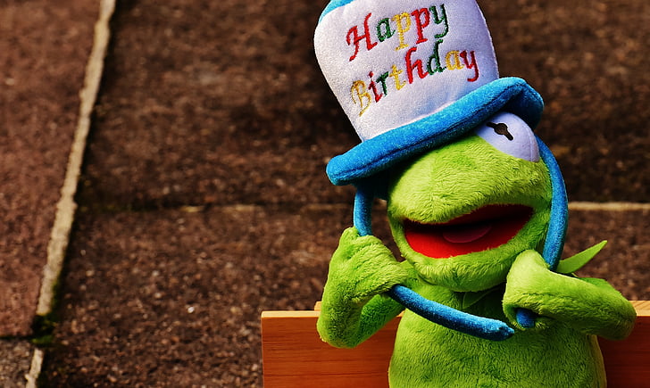 Kermit frog with happy birthday hat plush toy