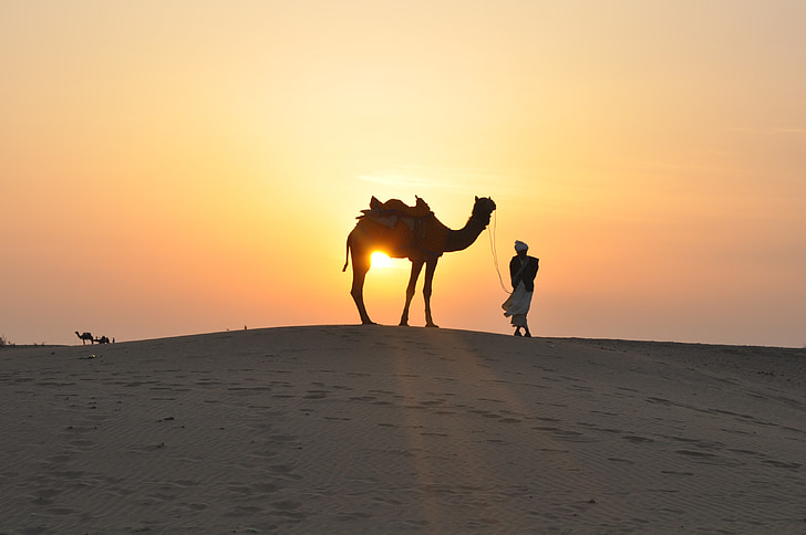 silhouette photography of man holding camel during golden hour