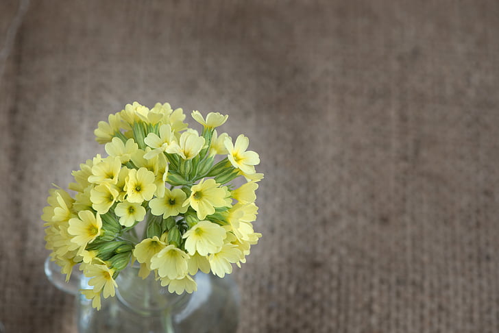 yellow petaled flower arrangement in clear vase