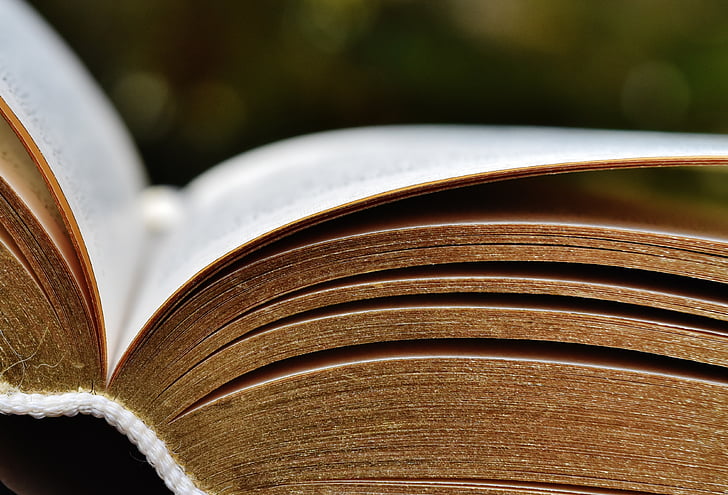 selective focus photography of opened book