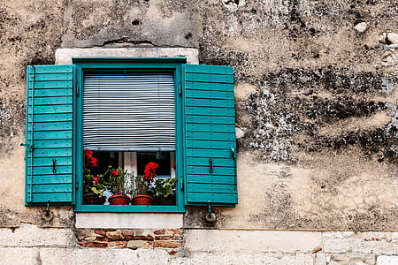 blue wooden window with red flowers