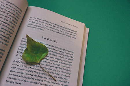 green leaf on book