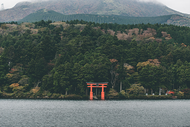 red torii beside body of water