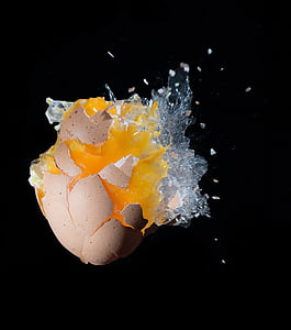 macro photography of cracked egg